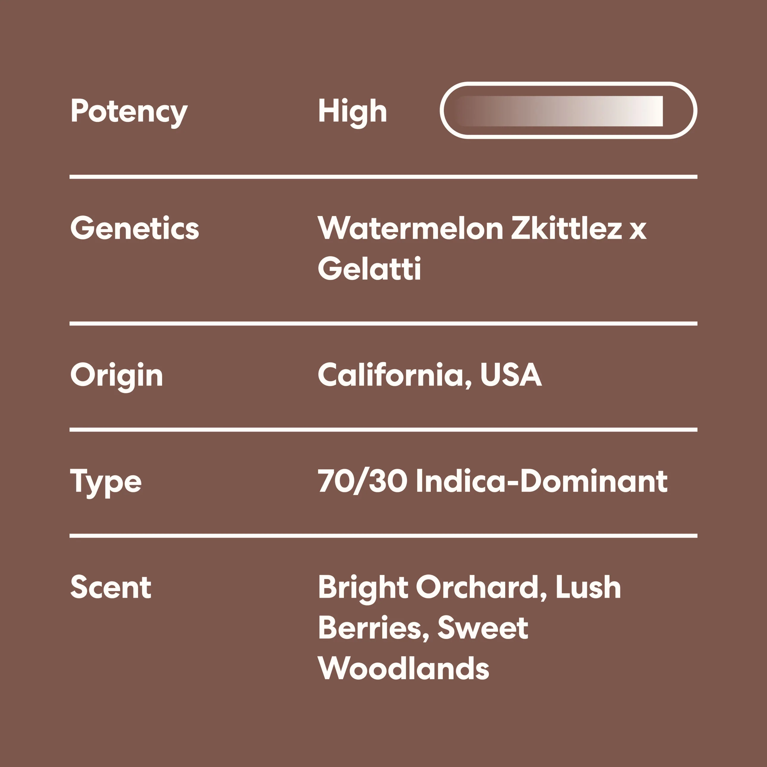 Blitzen Berry - Image 3