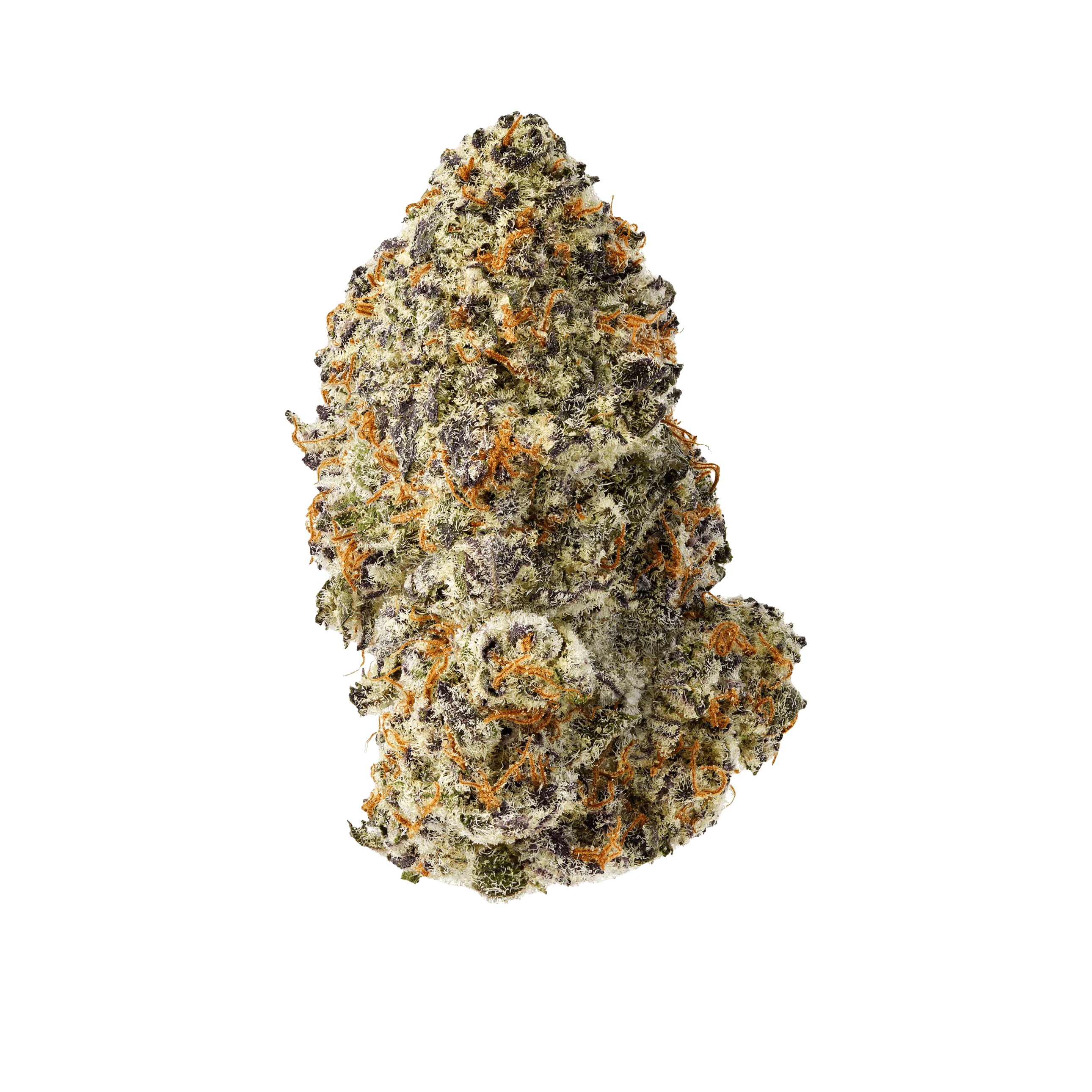Purple Punch